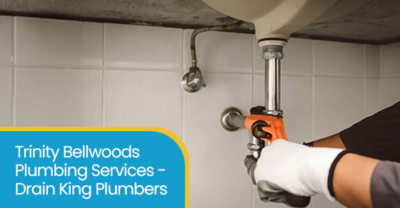 Trinity Bellwoods plumbing services - Drain King plumbers